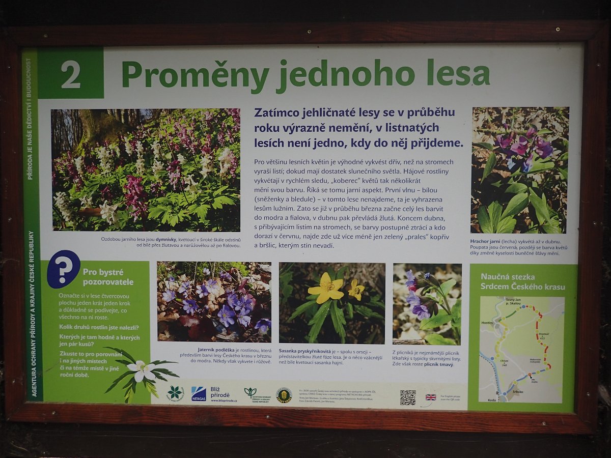 P4286585.JPG