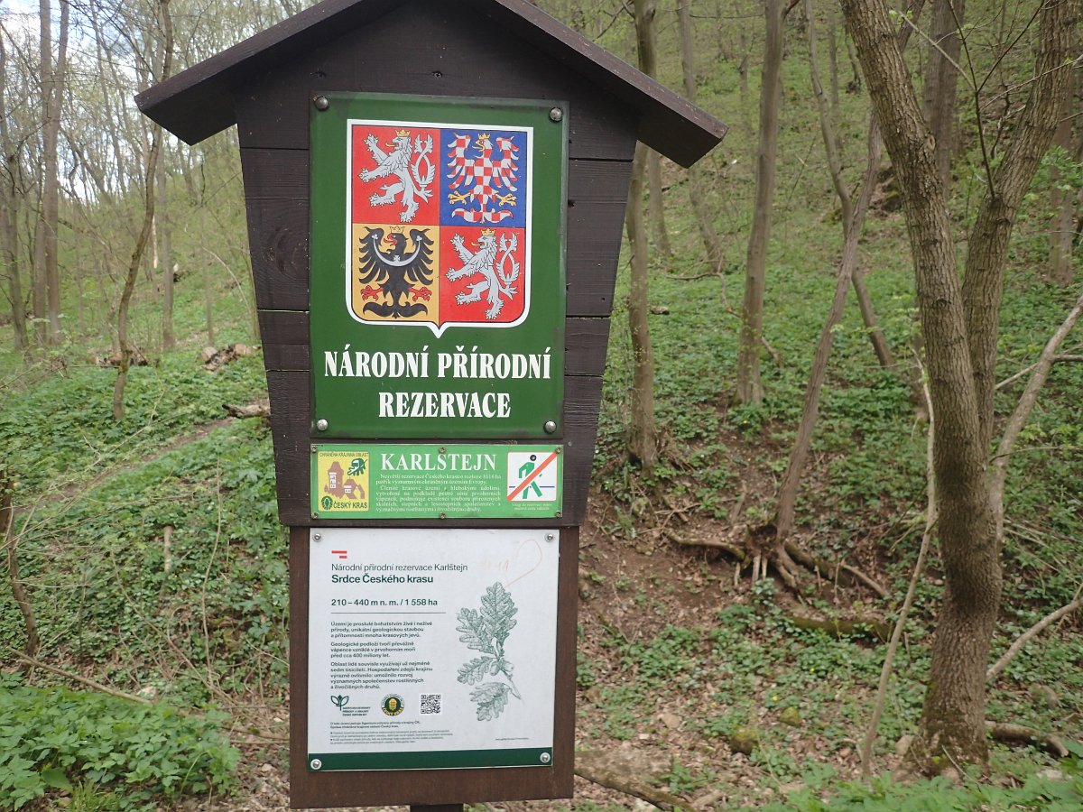 P4286586.JPG