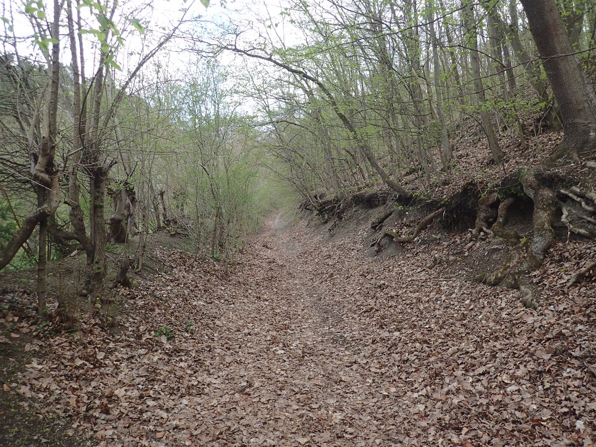 P4286590.JPG