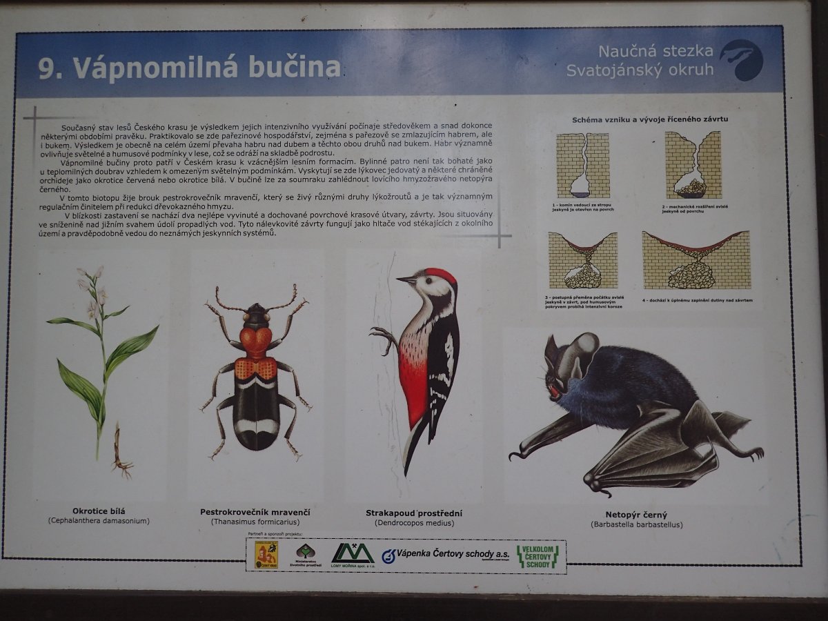 P4286591.JPG