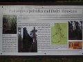 P7276923
