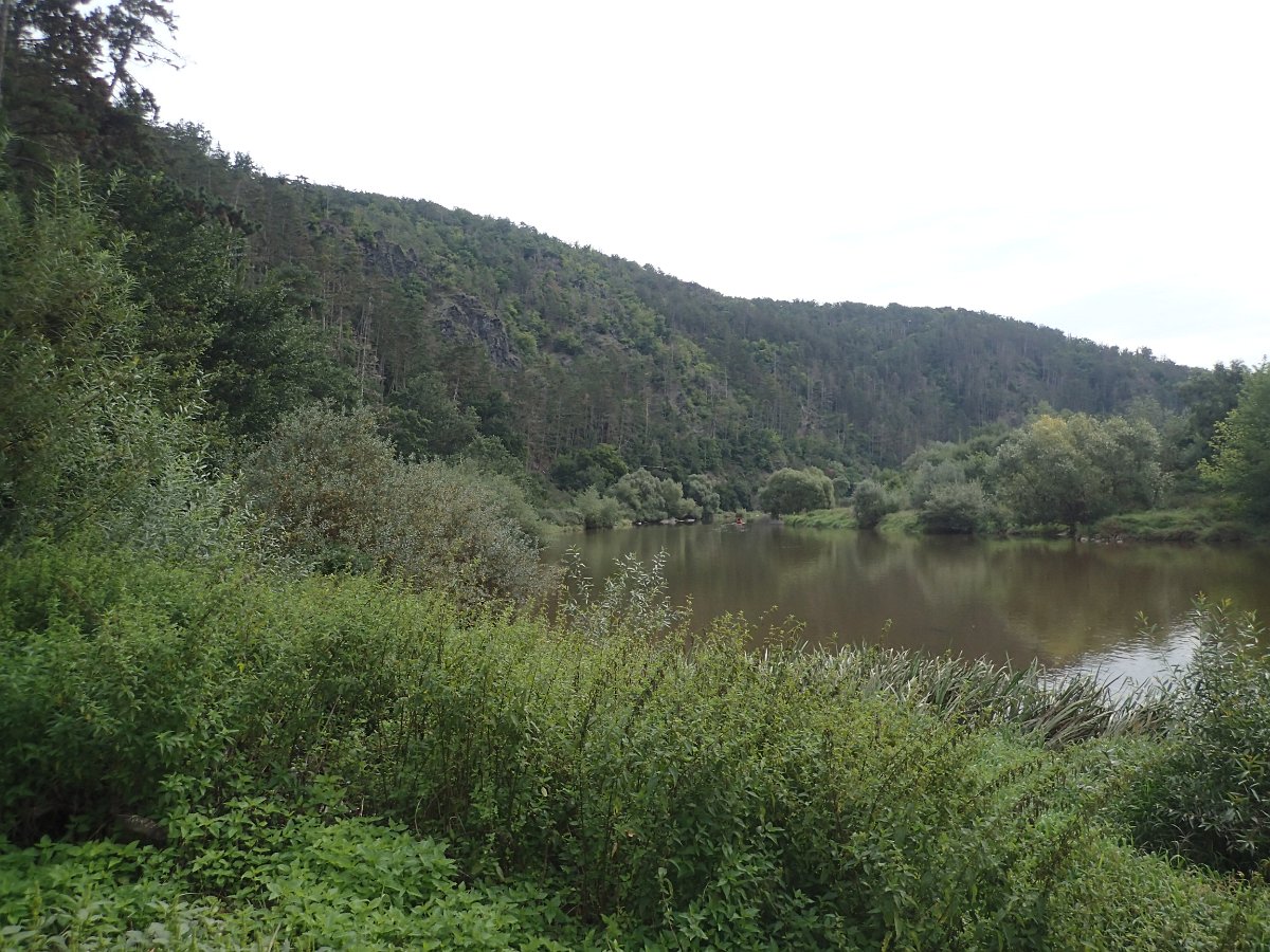 P8317046.JPG