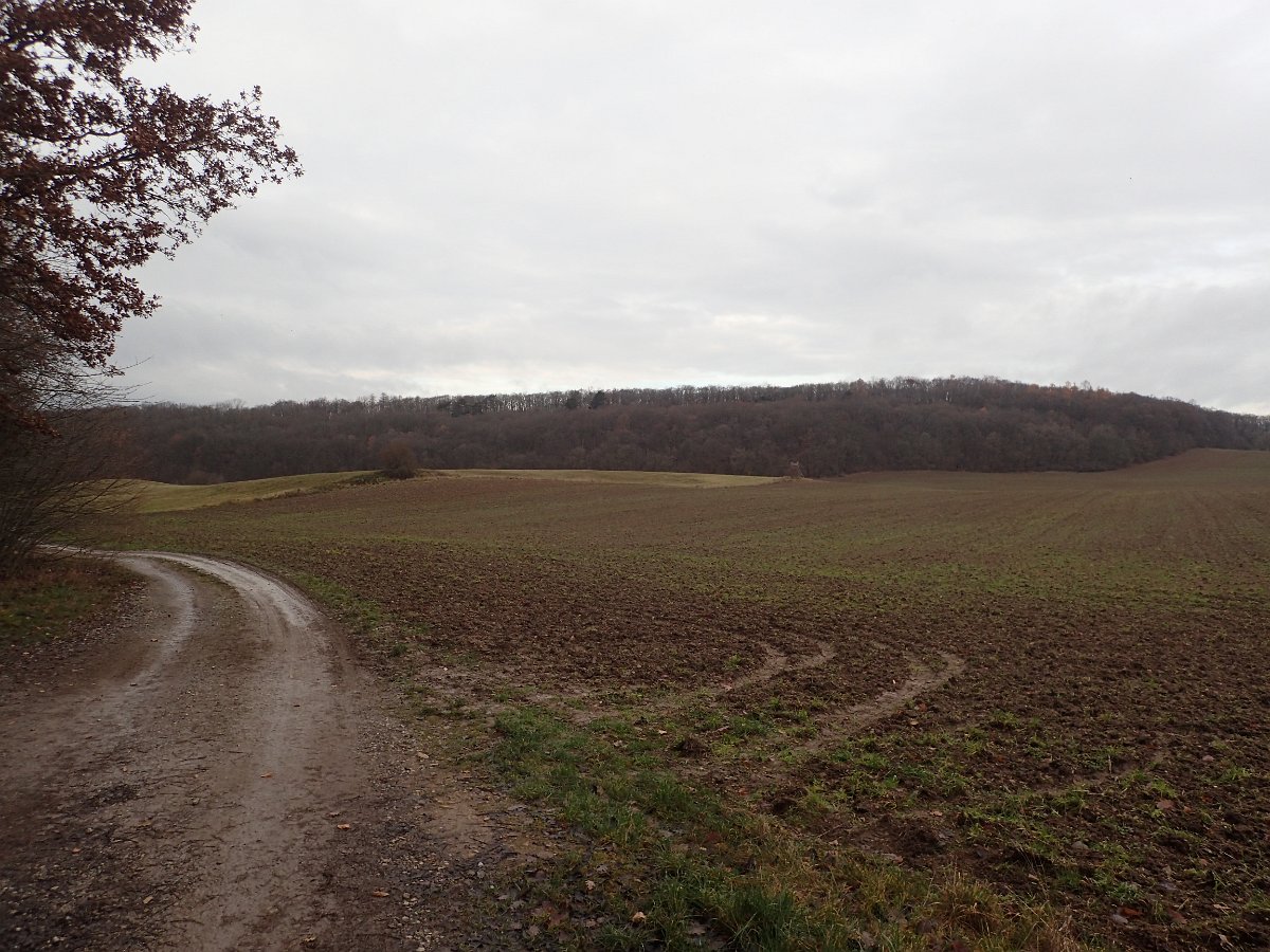 PC077348.JPG
