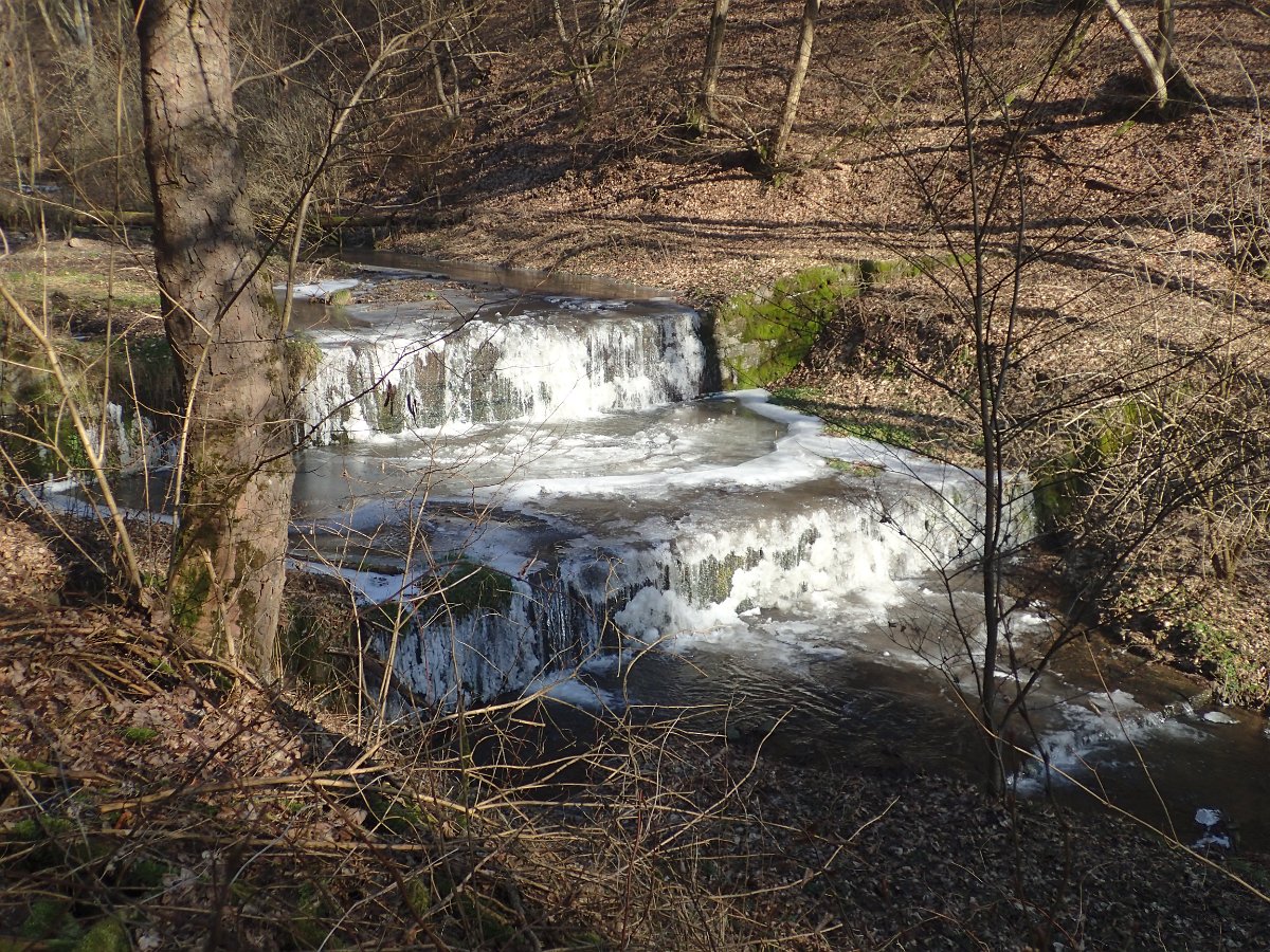 P2087744.JPG