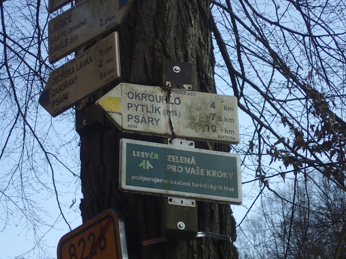 P2087746.JPG