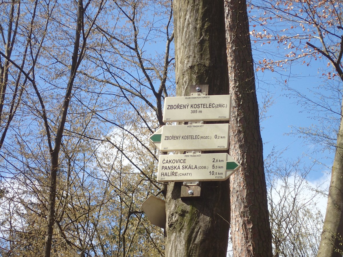 P4047938.JPG