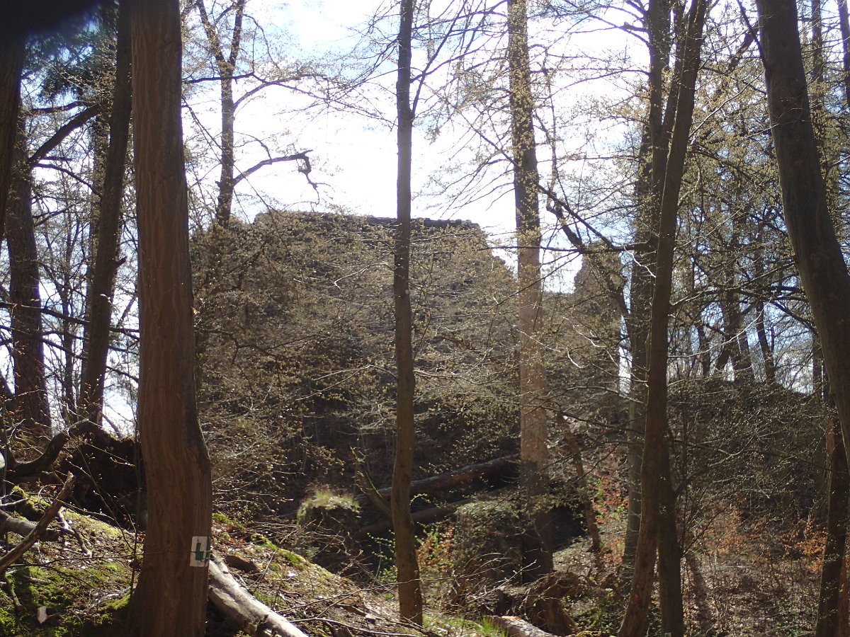 P4047939.JPG