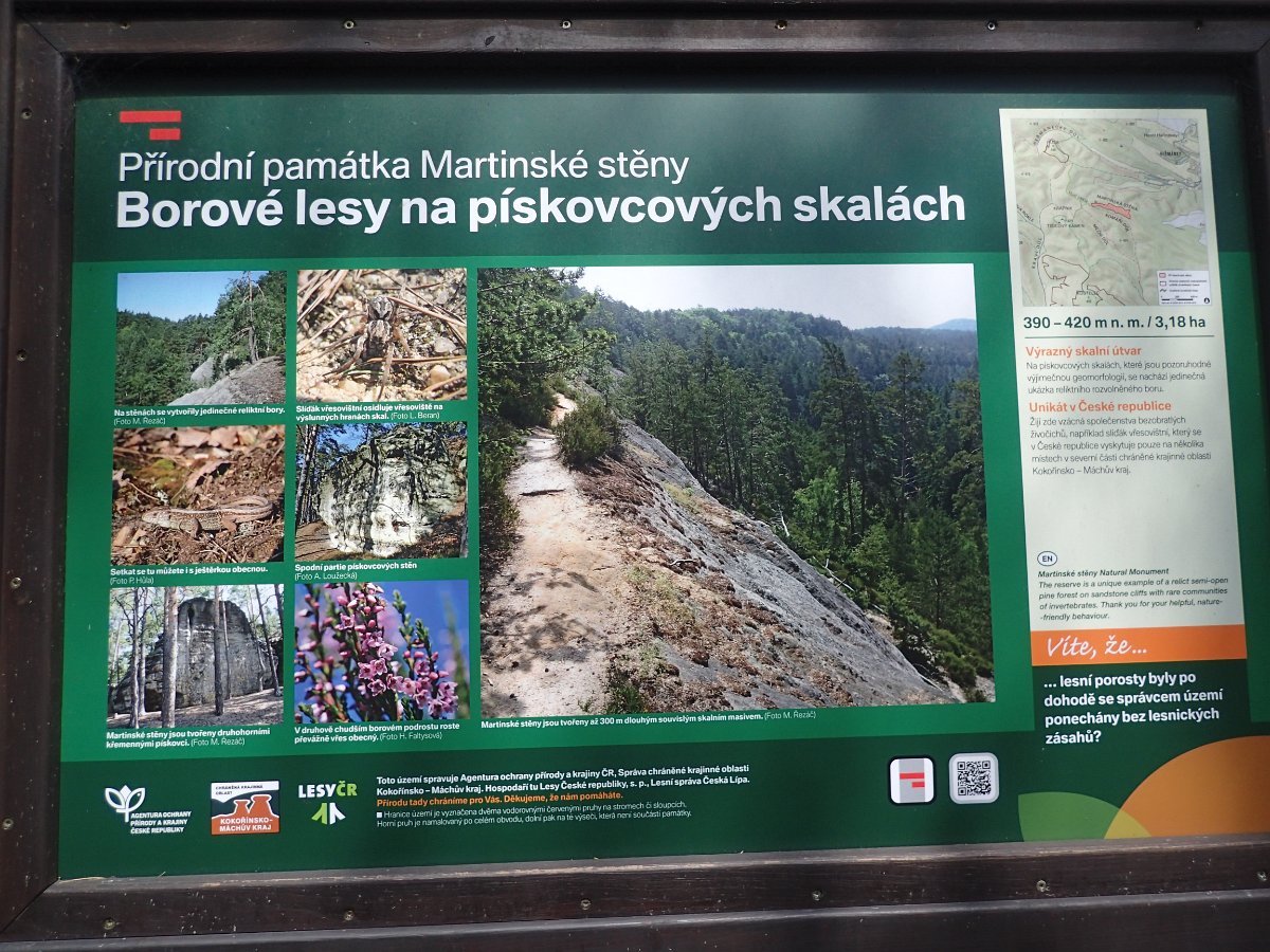P5038038.JPG