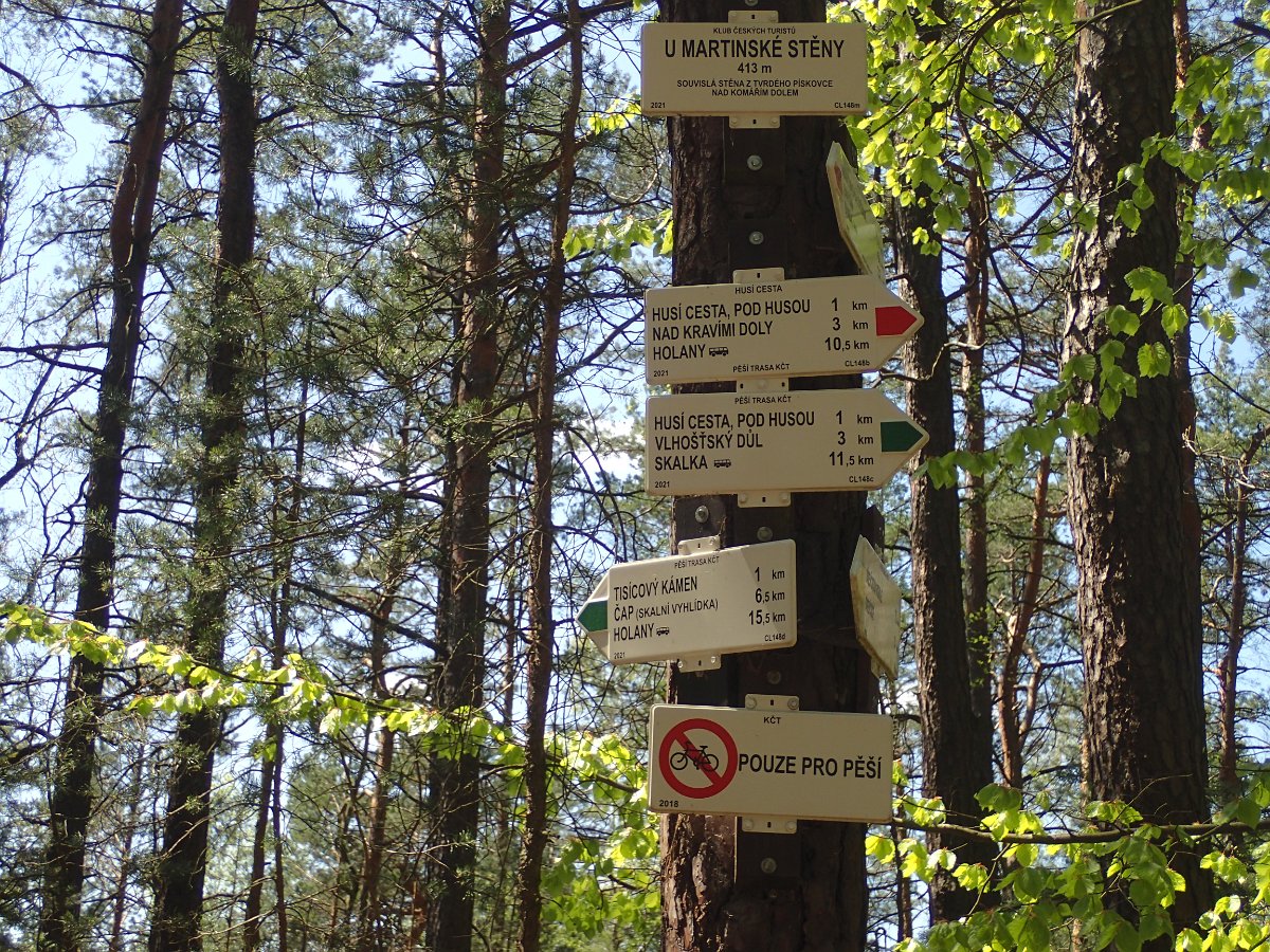 P5038045.JPG