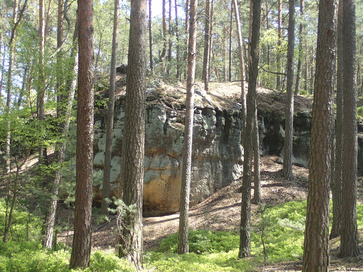 P5038048.JPG