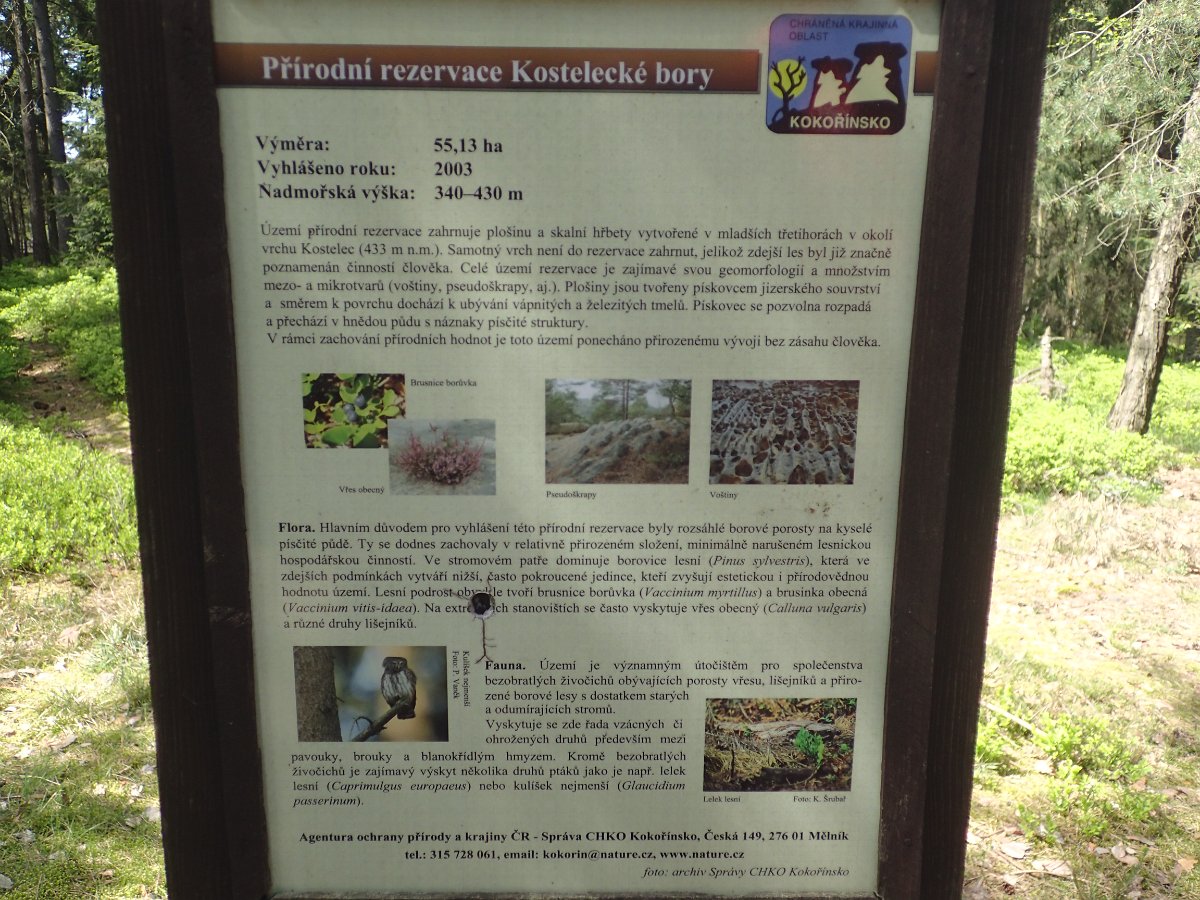 P5038066.JPG