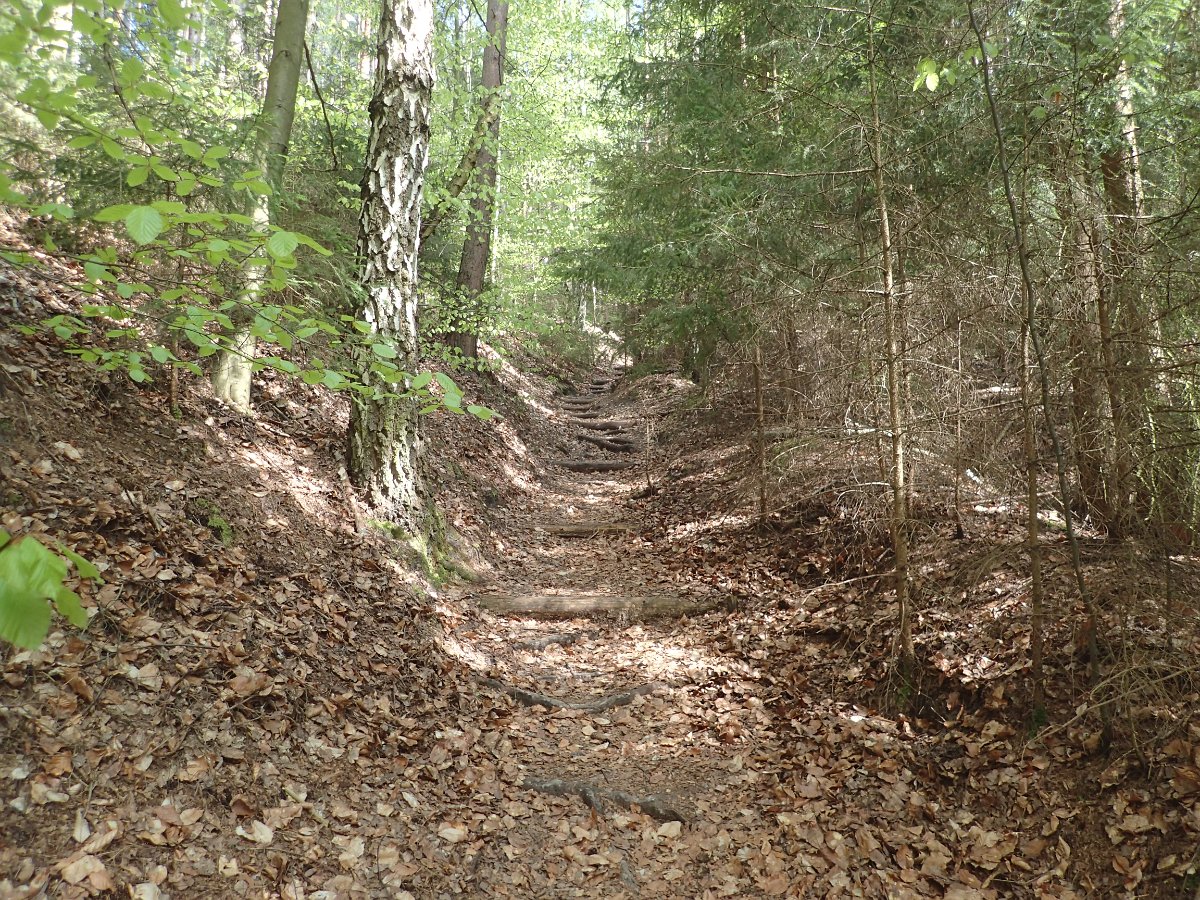 P5038072.JPG