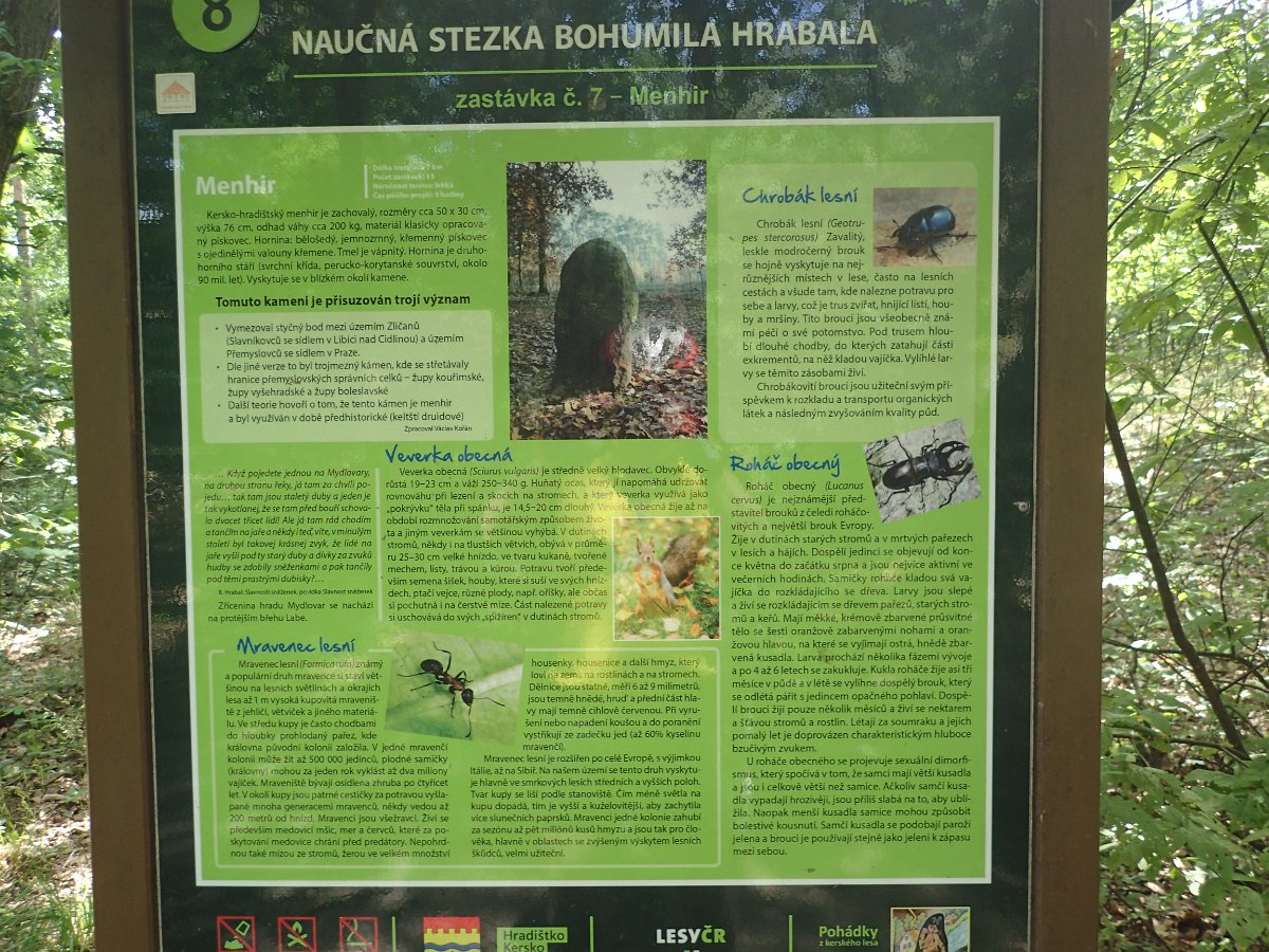 P6288377.JPG