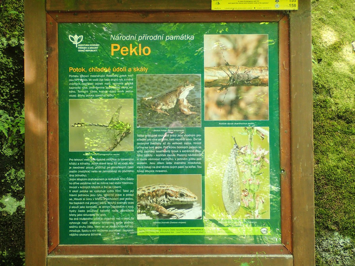P7128542.JPG