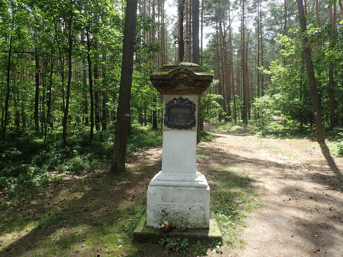 P7128555.JPG