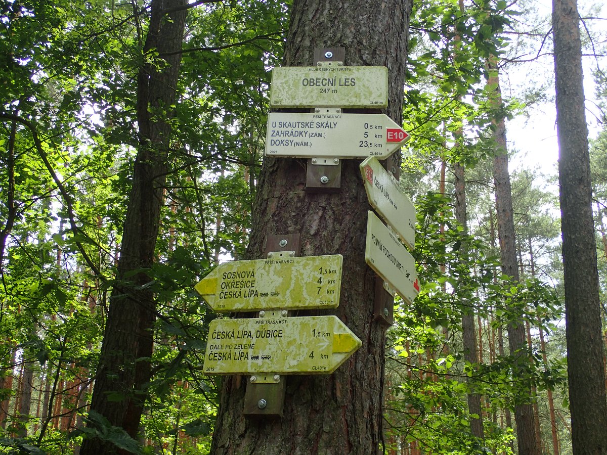 P7128557.JPG