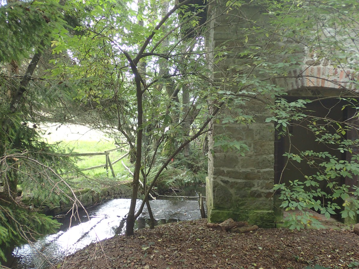 P9138843.JPG