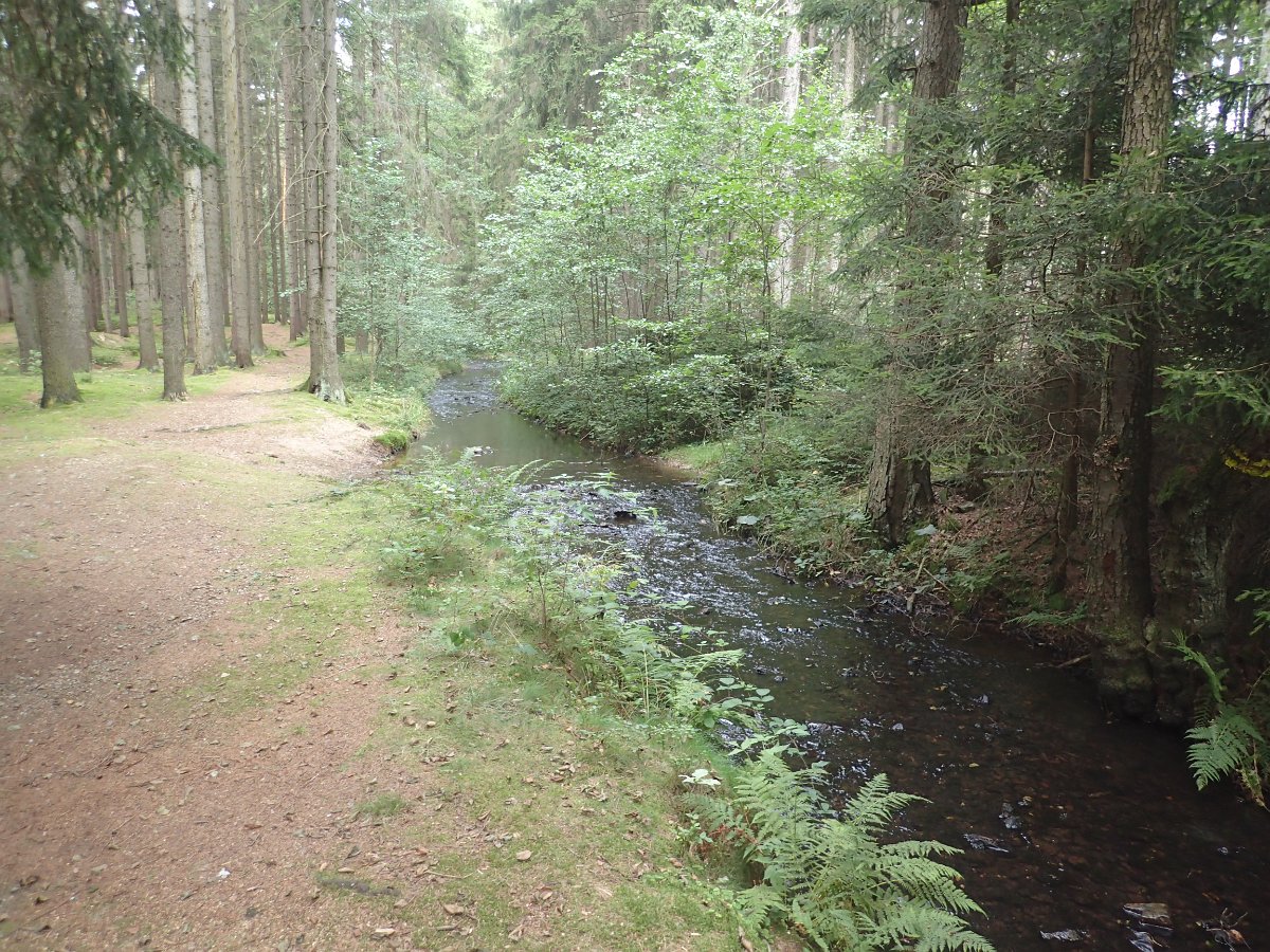 P9138846.JPG