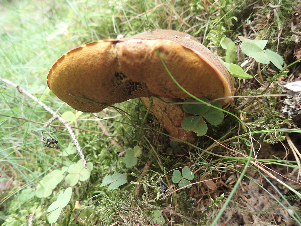 P9138872.JPG