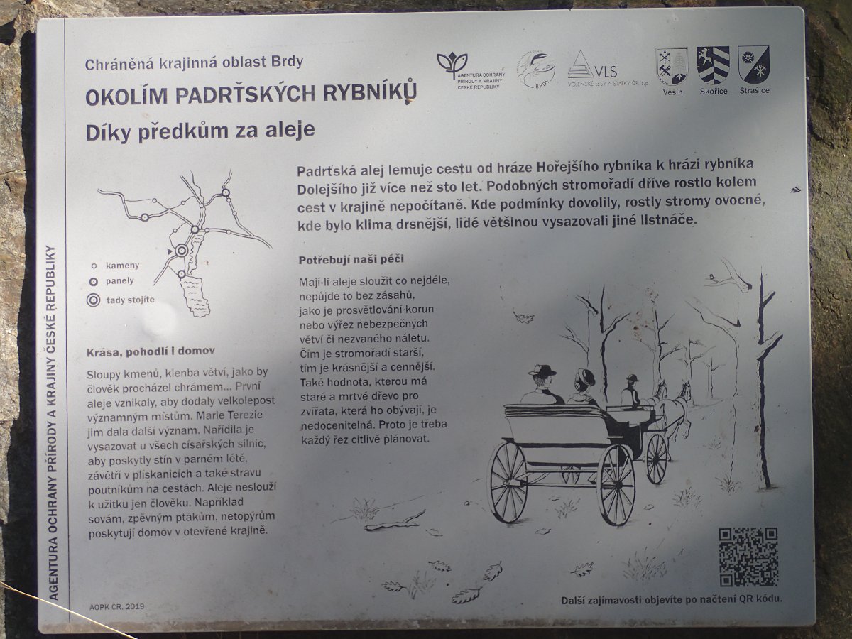P9208881.JPG