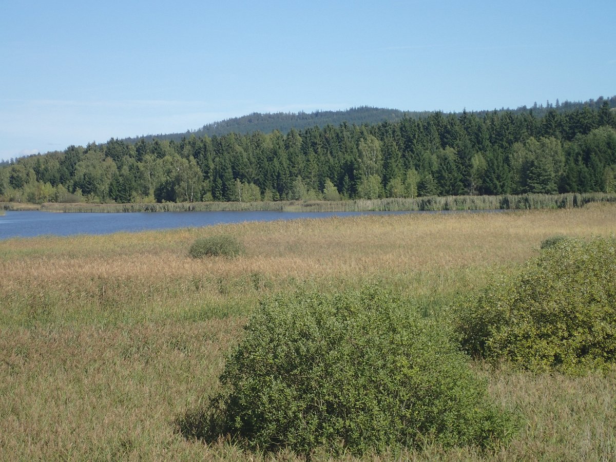 P9208891.JPG