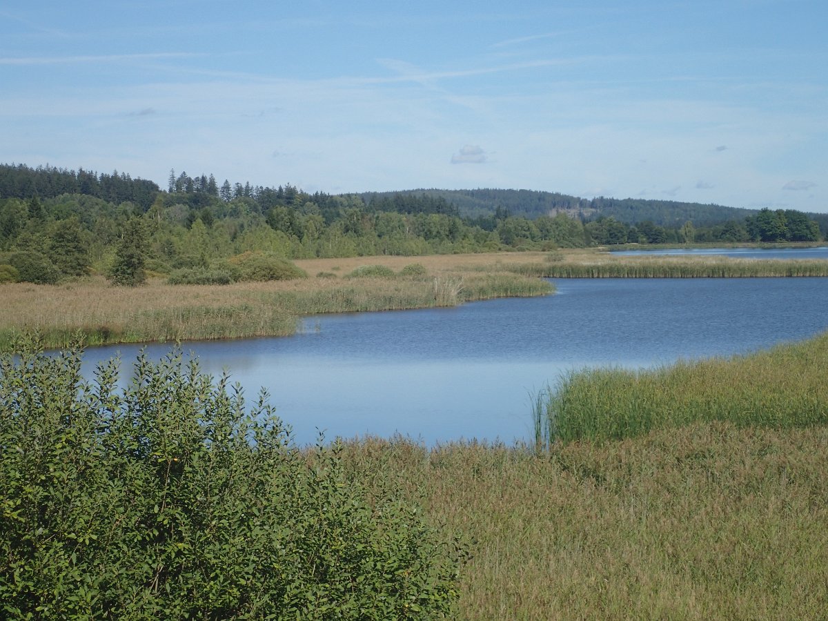 P9208892.JPG