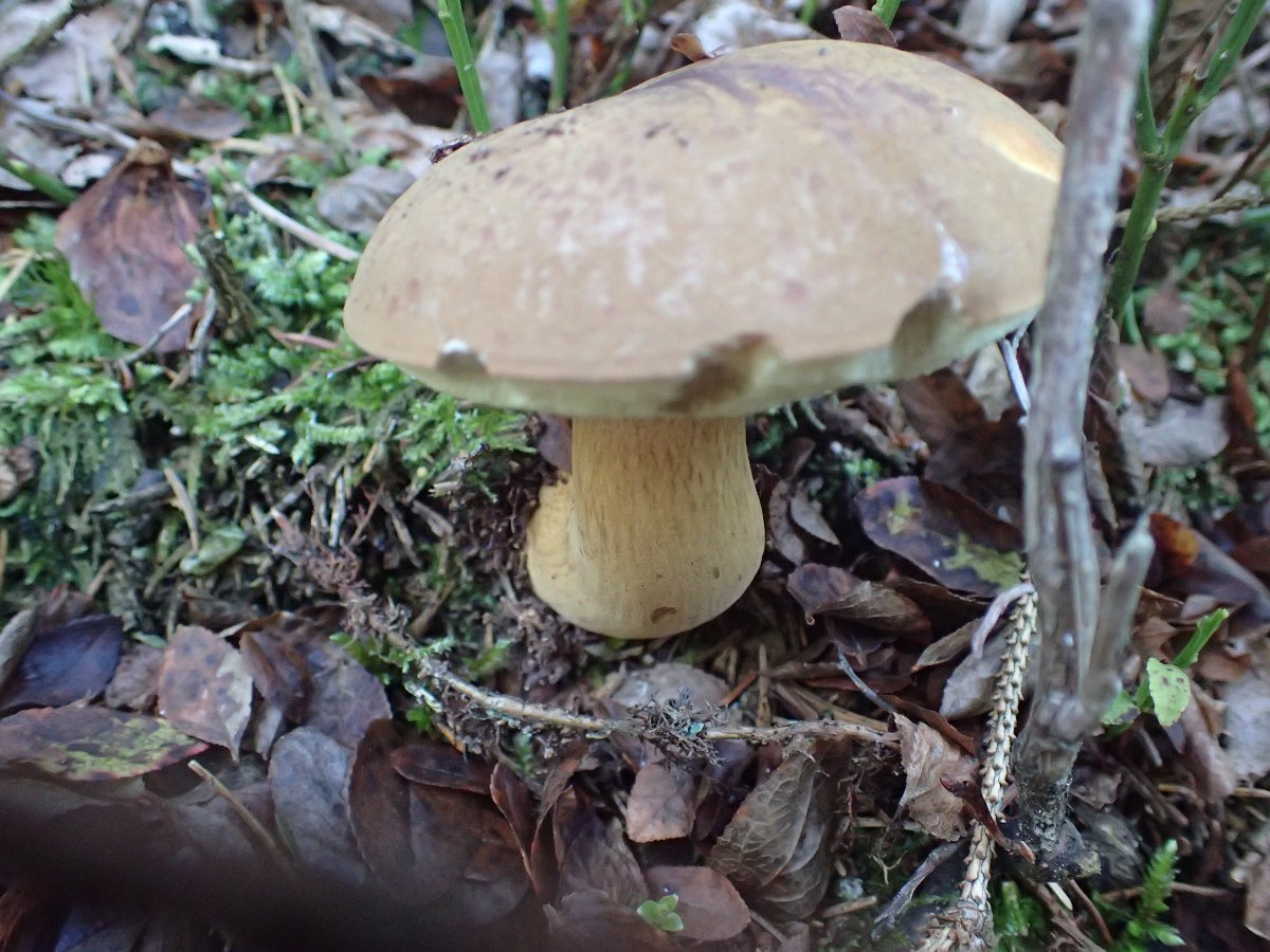 P9208894.JPG