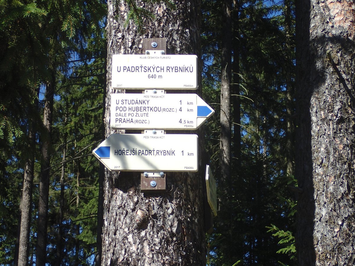 P9208896.JPG