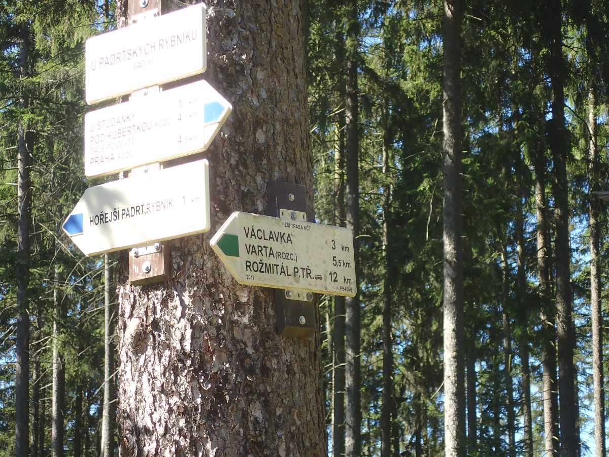 P9208899.JPG