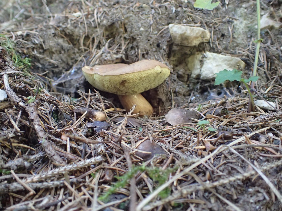P9208903.JPG