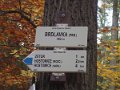 PB019123