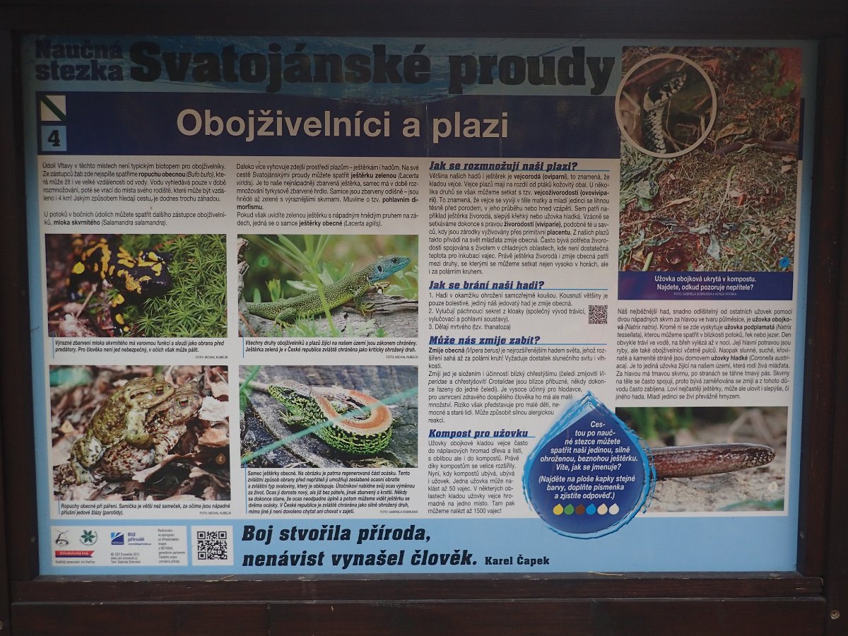 PB169171.JPG