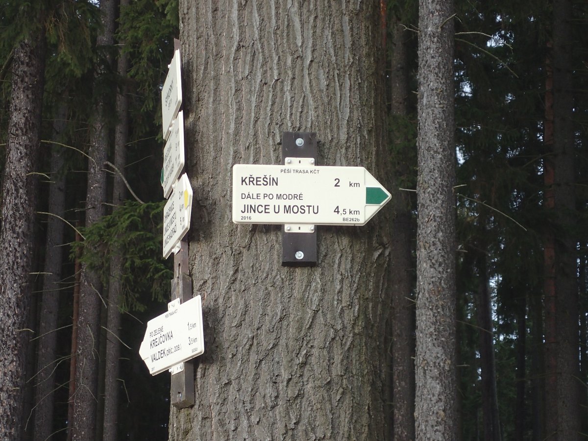 P1169542.JPG