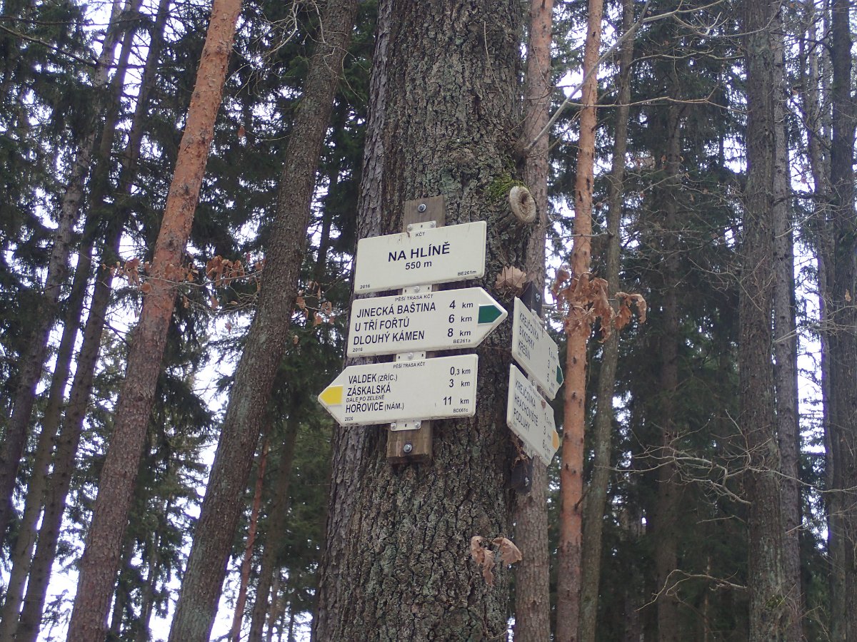 P1169549.JPG
