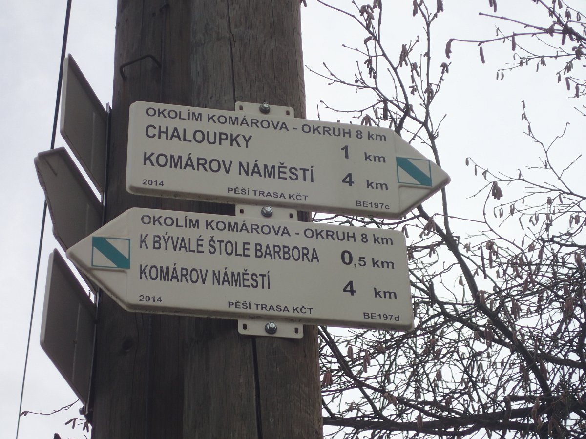 P1169559.JPG