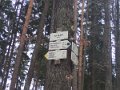 P1169549