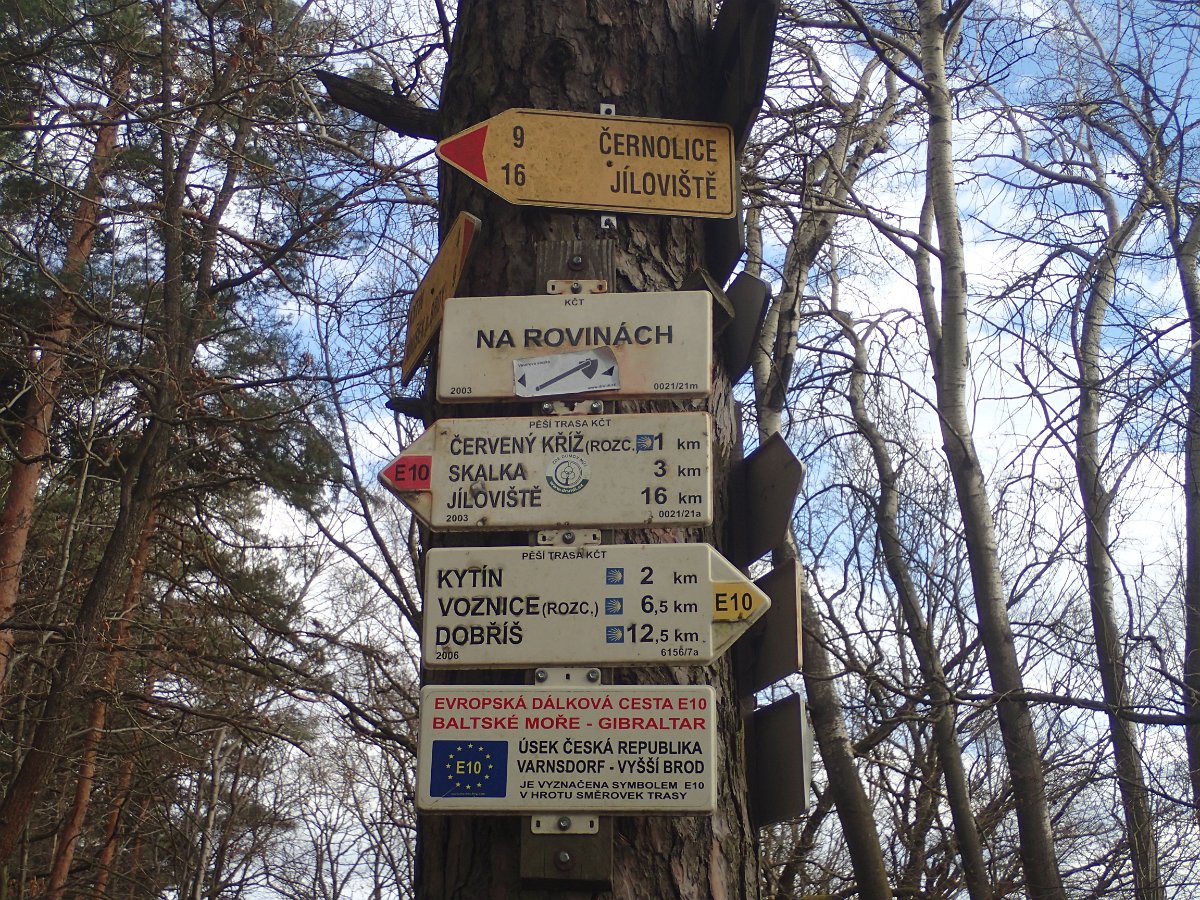 P2219691.JPG