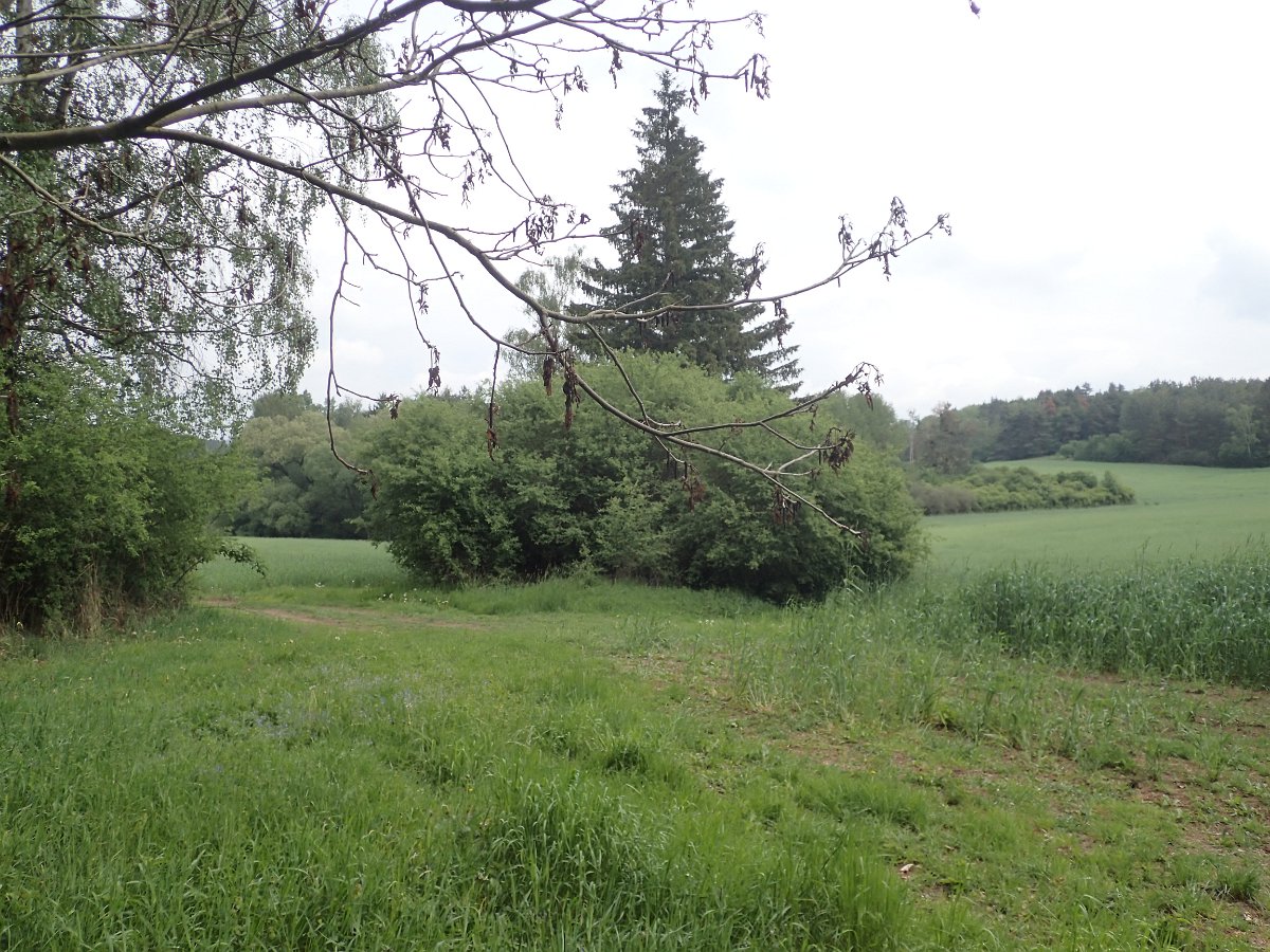 P5080008.JPG