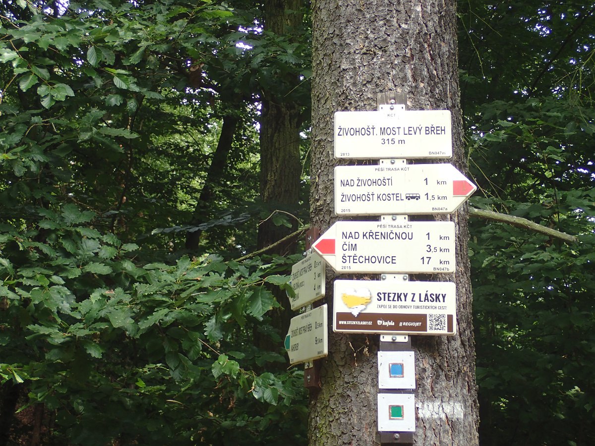 P7100322.JPG