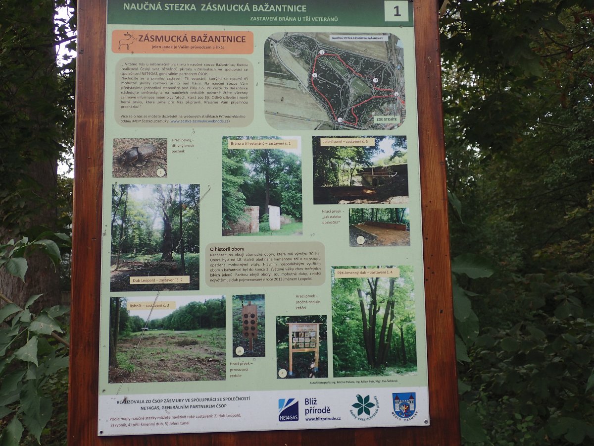 PA010746.JPG