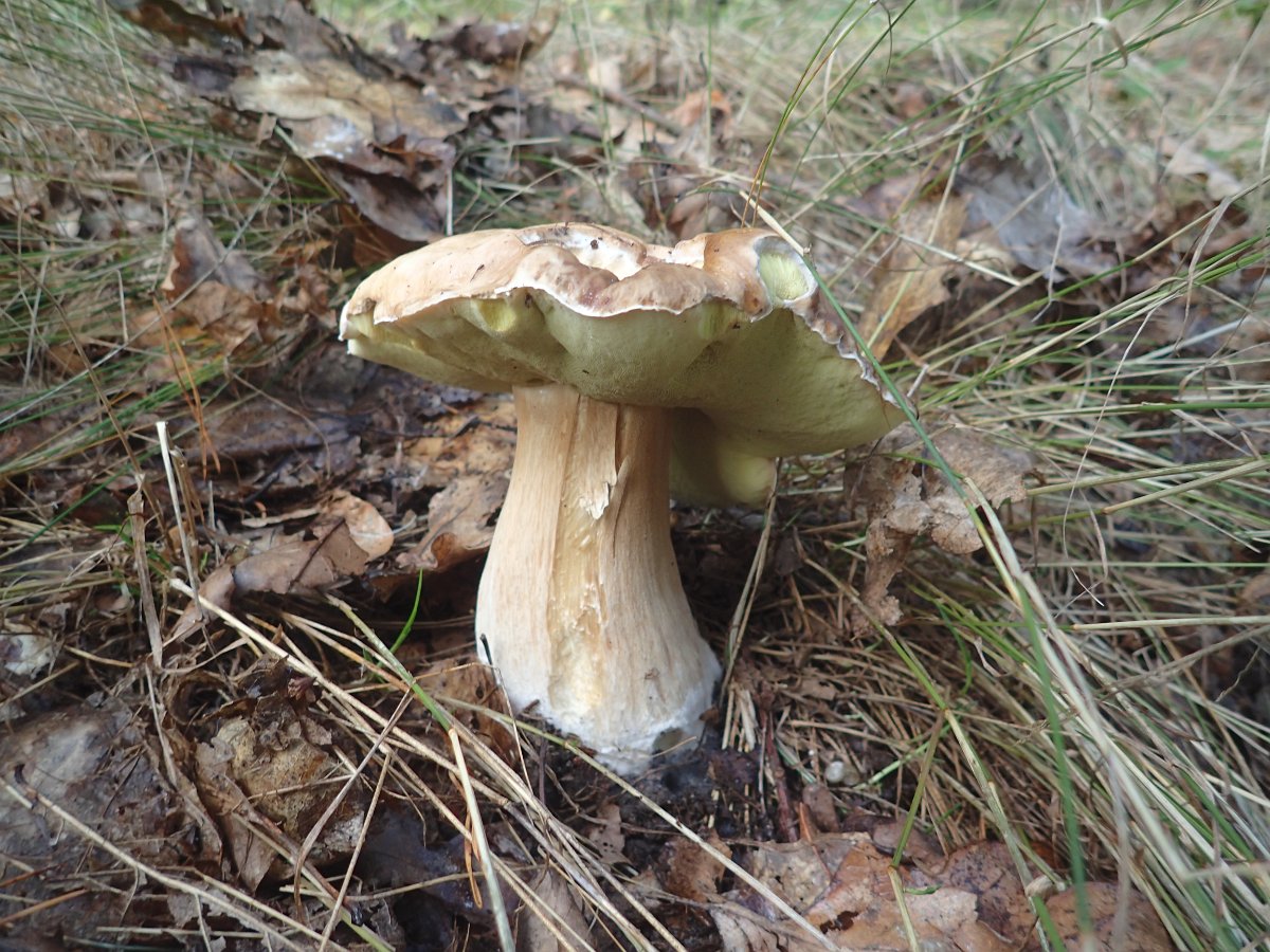 PA010763.JPG