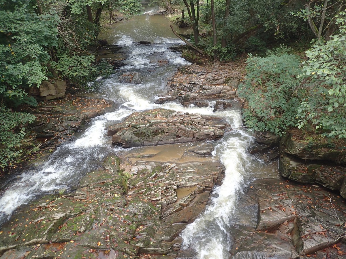 PA010765.JPG