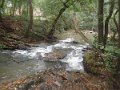 PA010775