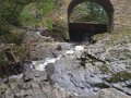 PA010778