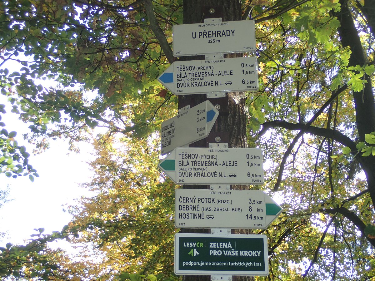 PA150858.JPG