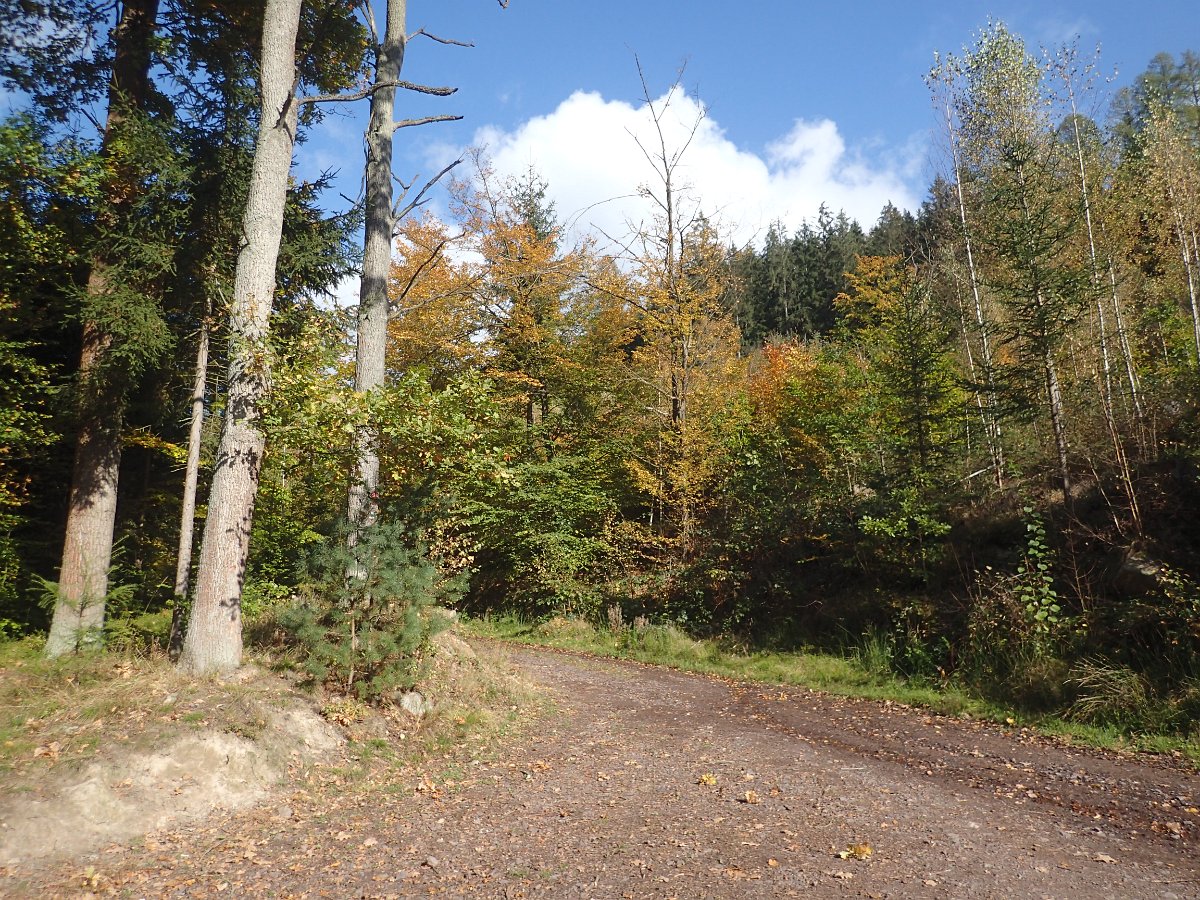 PA150866.JPG