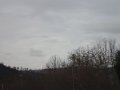 PC041077