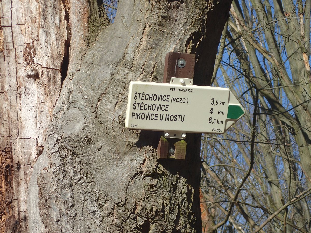 P2271380.JPG
