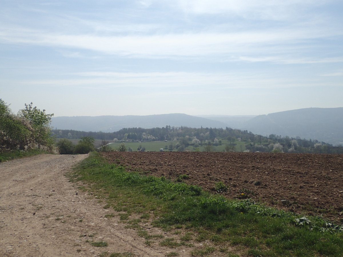 P4161531.JPG