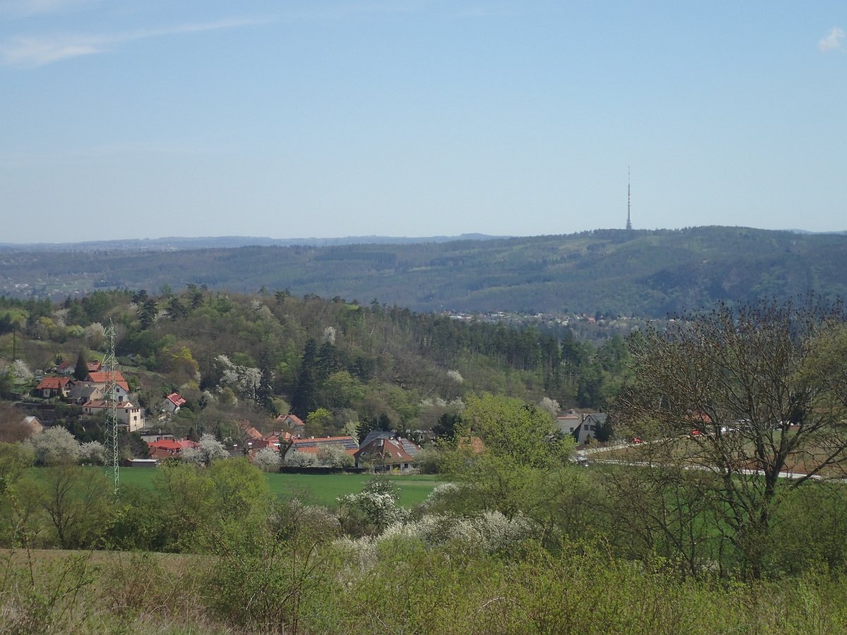 P4161536.JPG